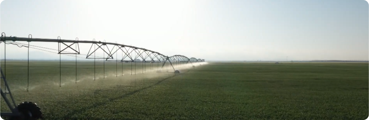 Modal video thumbnail